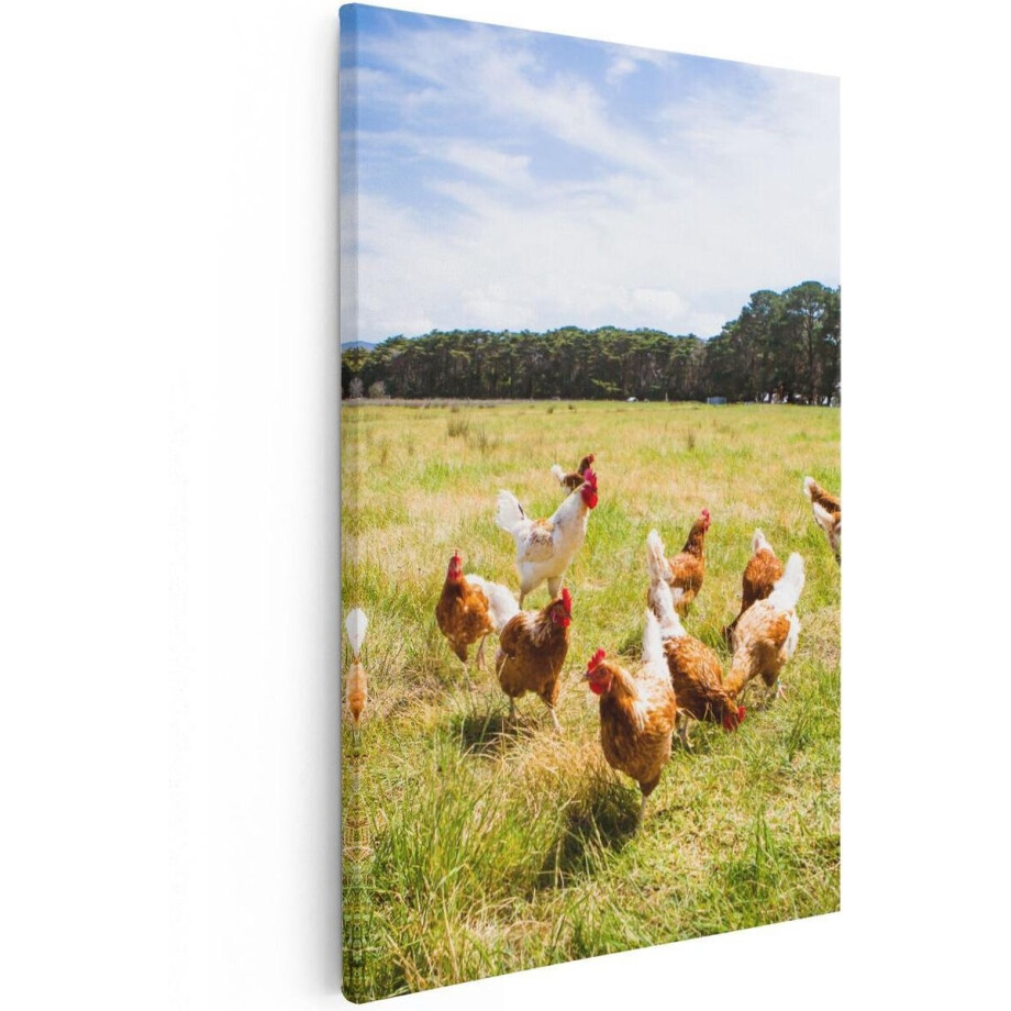 Artaza Canvas Schilderij Kippen - 40x60 cm - Wanddecoratie Dieren - Muurdecoratie Boerderij - Schilderijen Natuur Artaza Canvas Schilderij Kippen - 40x60 cm - Wanddecoratie Dieren - Muurdecoratie Boerderij - Schilderijen Natuur afbeelding 1