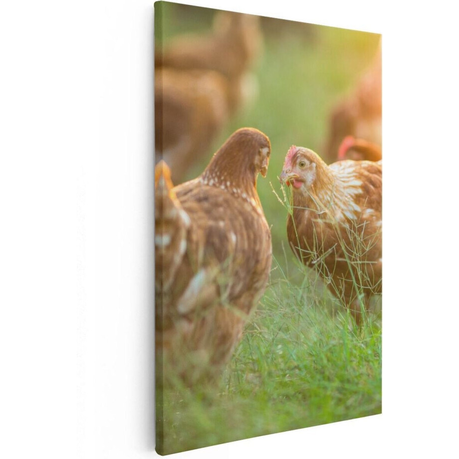 Artaza Canvas Schilderij Kippen op het Gras  - 20x30 - Klein - Foto Op Canvas - Canvas Print Artaza Canvas Schilderij Kippen op het Gras  - 20x30 - Klein - Foto Op Canvas - Canvas Print afbeelding 1