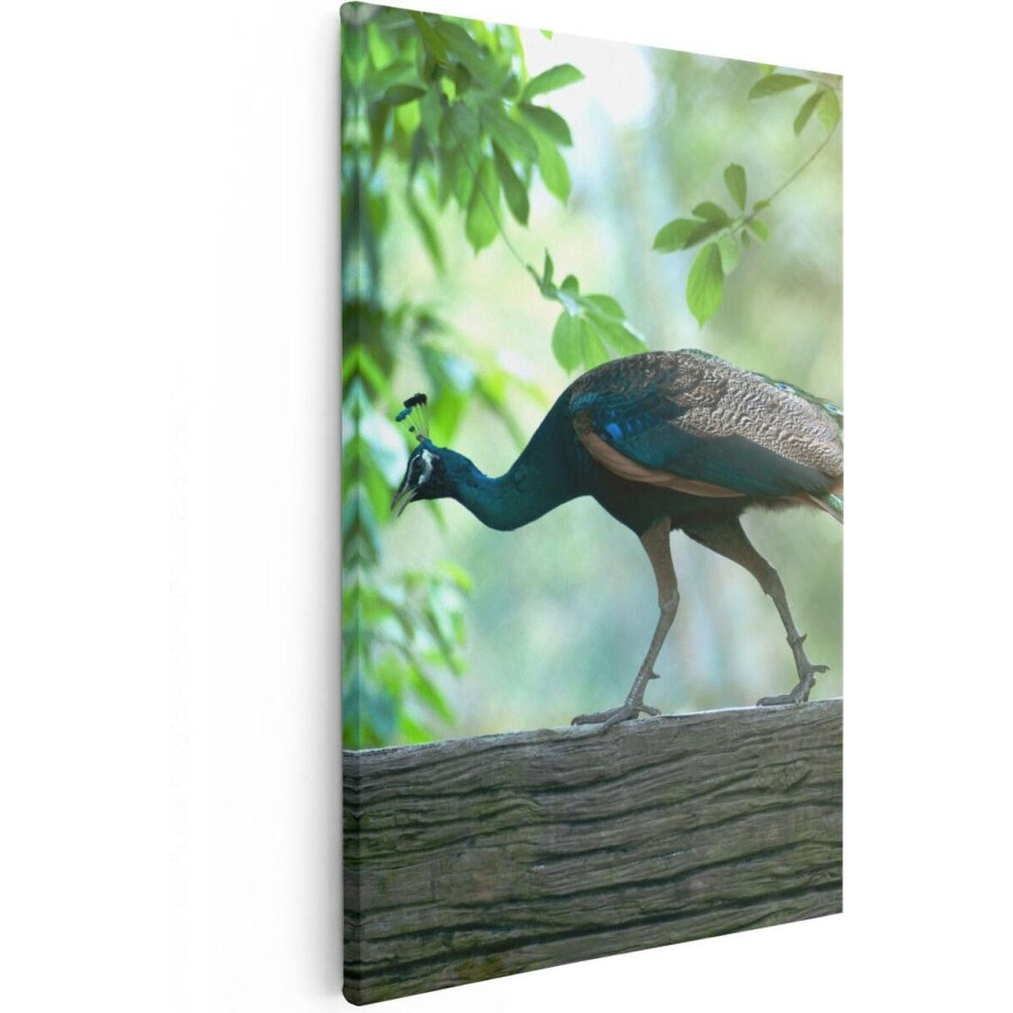 Artaza Canvas Schilderij Pauw Loopt Op Een Tak In De Natuur - 80x120 - Groot - Foto Op Canvas - Canvas Print afbeelding 1