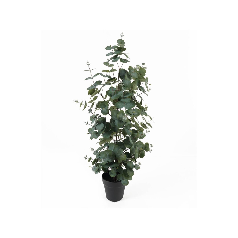 Kunstplant Eucalyptusblad | Present Time afbeelding 1