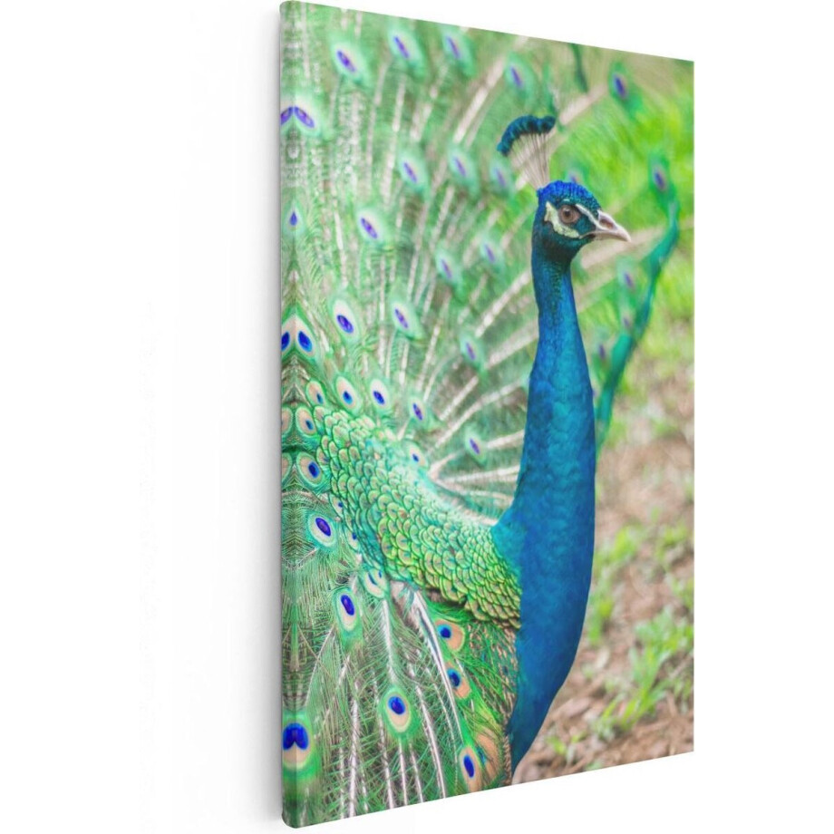 Artaza Canvas Schilderij Pauw Met Kleurrijke Veren - 40x60 cm - Wanddecoratie Woonkamer - Schilderijen - Muurdecoratie afbeelding 1