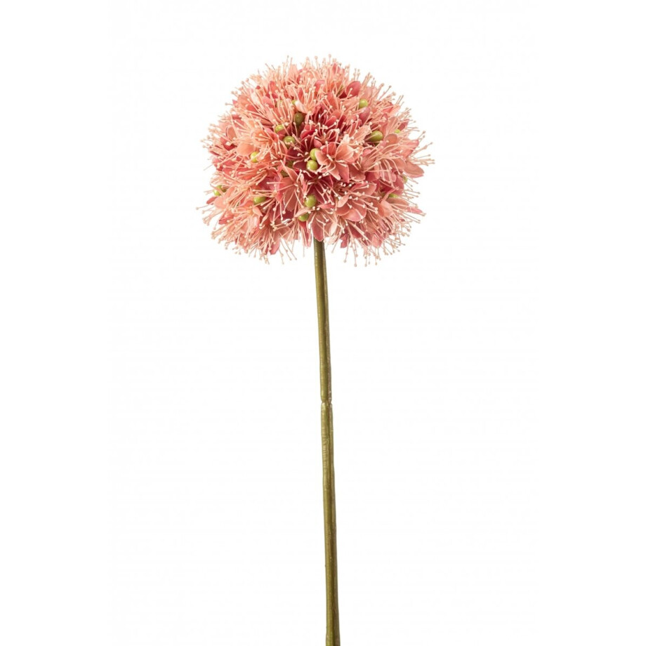 Fleurdirect Kunstbloem Allium - Kunststof - Roze - 0 x 63 x 0 cm (BxHxD) Fleurdirect Kunstbloem Allium - Kunststof - Roze - 0 x 63 x 0 cm (BxHxD) afbeelding 1