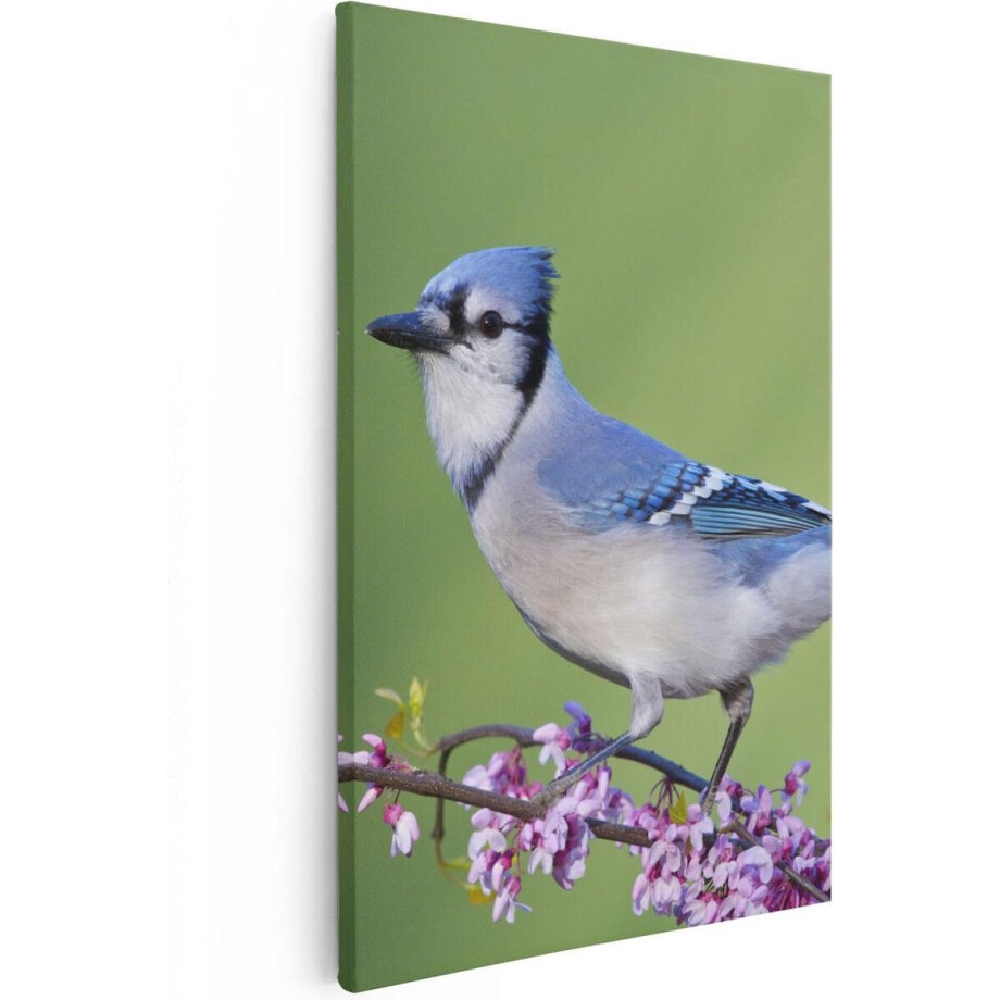 Artaza Canvas Schilderij Blauwe Gaai Vogel Op Een Tak - Kleur - 80x120 - Groot - Foto Op Canvas - Canvas Print Artaza Canvas Schilderij Blauwe Gaai Vogel Op Een Tak - Kleur - 80x120 - Groot - Foto Op Canvas - Canvas Print afbeelding 1