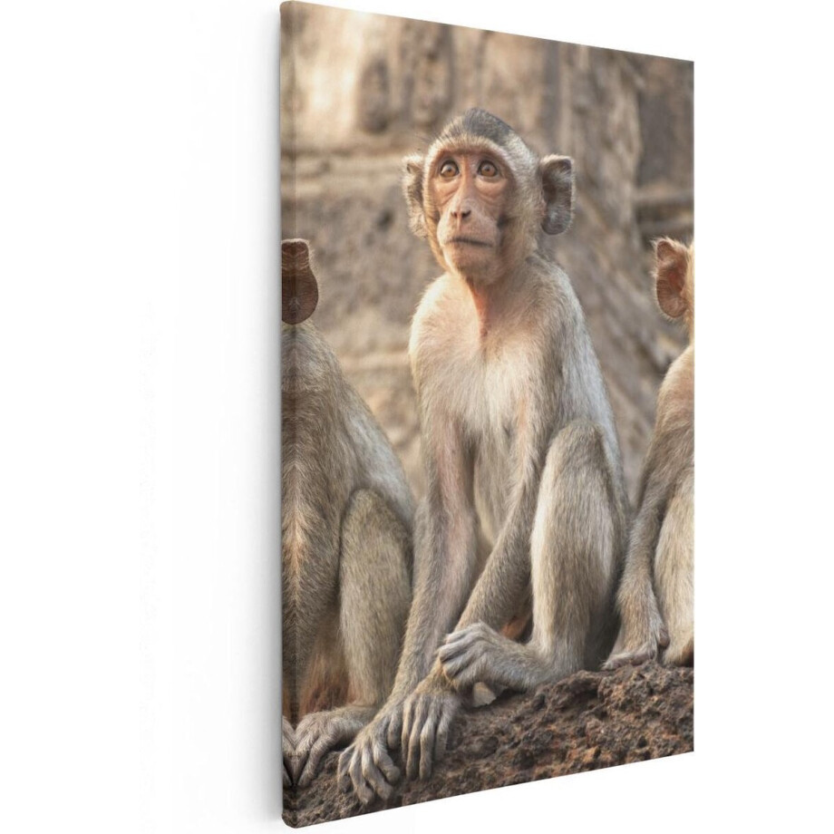 Artaza Canvas Schilderij Drie Kleine Apen Naast Elkaar - 40x60 - Foto Op Canvas - Canvas Print Artaza Canvas Schilderij Drie Kleine Apen Naast Elkaar - 40x60 - Foto Op Canvas - Canvas Print afbeelding 1