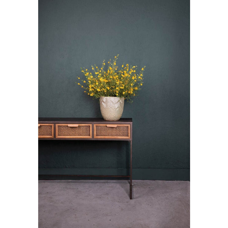 PTMD Twig Plant Bos Met Brem Bloemen - 43 x 23 x 54 cm - Groen/Geel PTMD Twig Plant Bos Met Brem Bloemen - 43 x 23 x 54 cm - Groen/Geel afbeelding 1