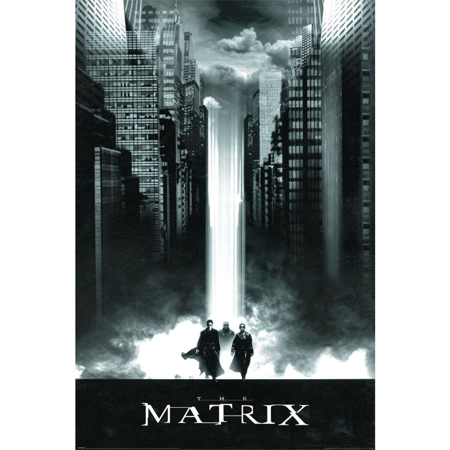 The Matrix Lightfall Poster 61x91.5cm The Matrix Lightfall Poster 61x91.5cm afbeelding 1