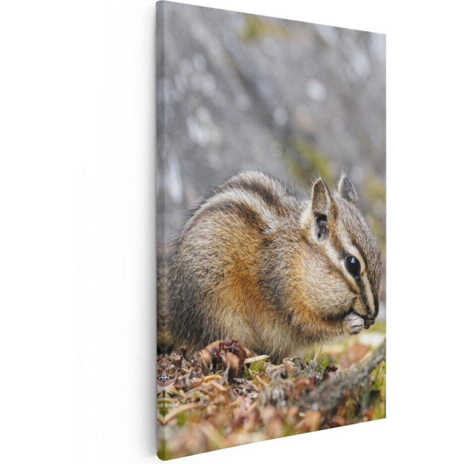 Artaza Canvas Schilderij Dieren - 20x30 cm - Klein - Muurdecoratie Eekhoorn - Wanddecoratie Bos - Kamer Accessoires Artaza Canvas Schilderij Dieren - 20x30 cm - Klein - Muurdecoratie Eekhoorn - Wanddecoratie Bos - Kamer Accessoires afbeelding 1