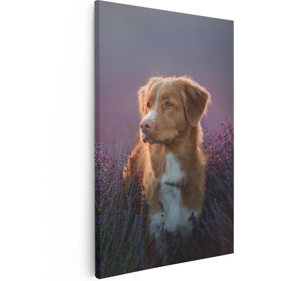 Artaza Canvas Schilderij Retriever Hond Tussen De Lavendel Bloemen - 60x90 - Foto Op Canvas - Canvas Print afbeelding 1