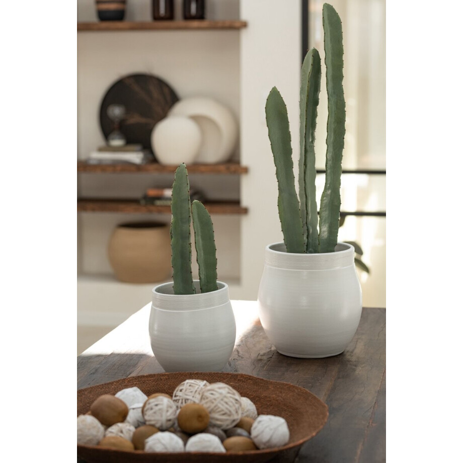 J-Line plant Cactus 3 Stuks In Pot - kunststof - groen - small J-Line plant Cactus 3 Stuks In Pot - kunststof - groen - small afbeelding 1