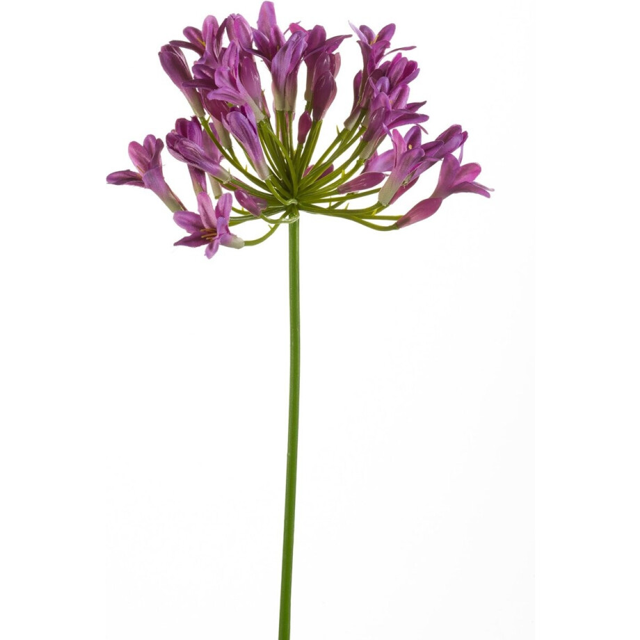 Emerald - Kunstbloem Agapanthus 75cm paars - Kunstplant voor binnen afbeelding 1