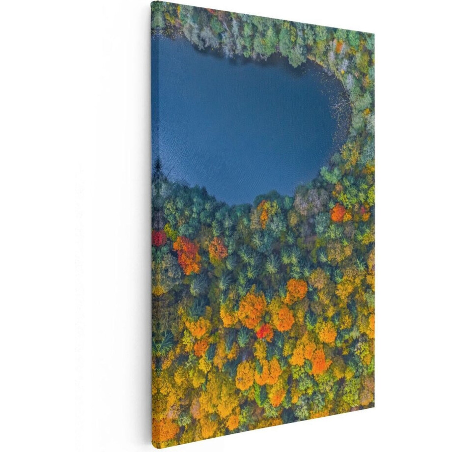 Artaza Canvas Schilderij Herfstbos - 80x120 cm - Groot - Wanddecoratie Landschap - Muurdecoratie Bos - Schilderijen Op Canvas Natuur Artaza Canvas Schilderij Herfstbos - 80x120 cm - Groot - Wanddecoratie Landschap - Muurdecoratie Bos - Schilderijen Op Canvas Natuur afbeelding 1
