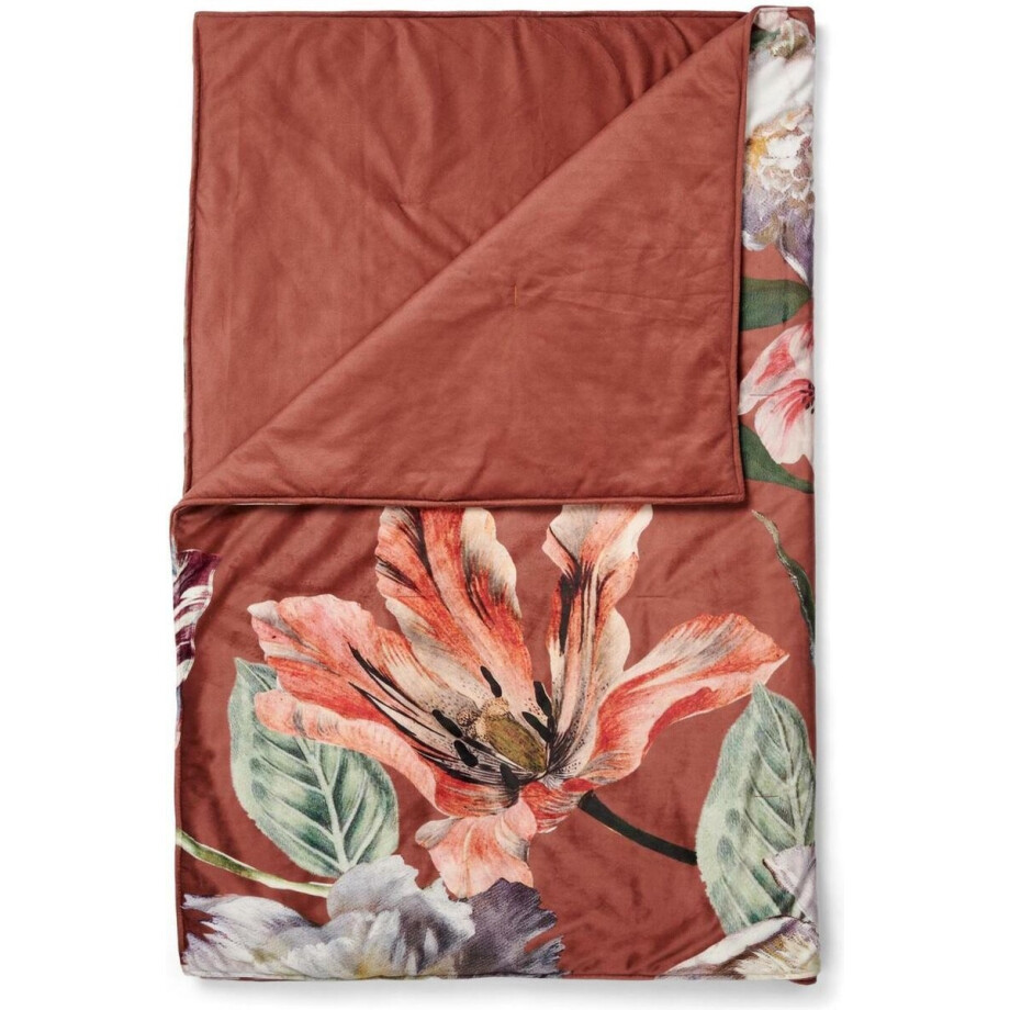 ESSENZA Filou Sprei Shell brown - 180x265 afbeelding 1