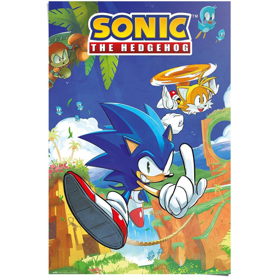 Poster Sonic the Hedgehog - sonic & tails - 91,5 x 61 - Papier - REINDERS afbeelding 1