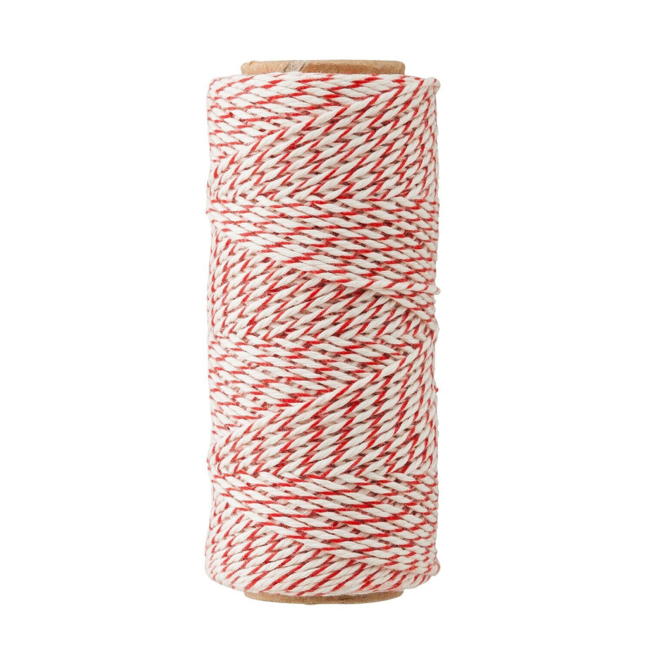 HEMA HEMA Bindtouw 50 Meter (multicolor) afbeelding 1