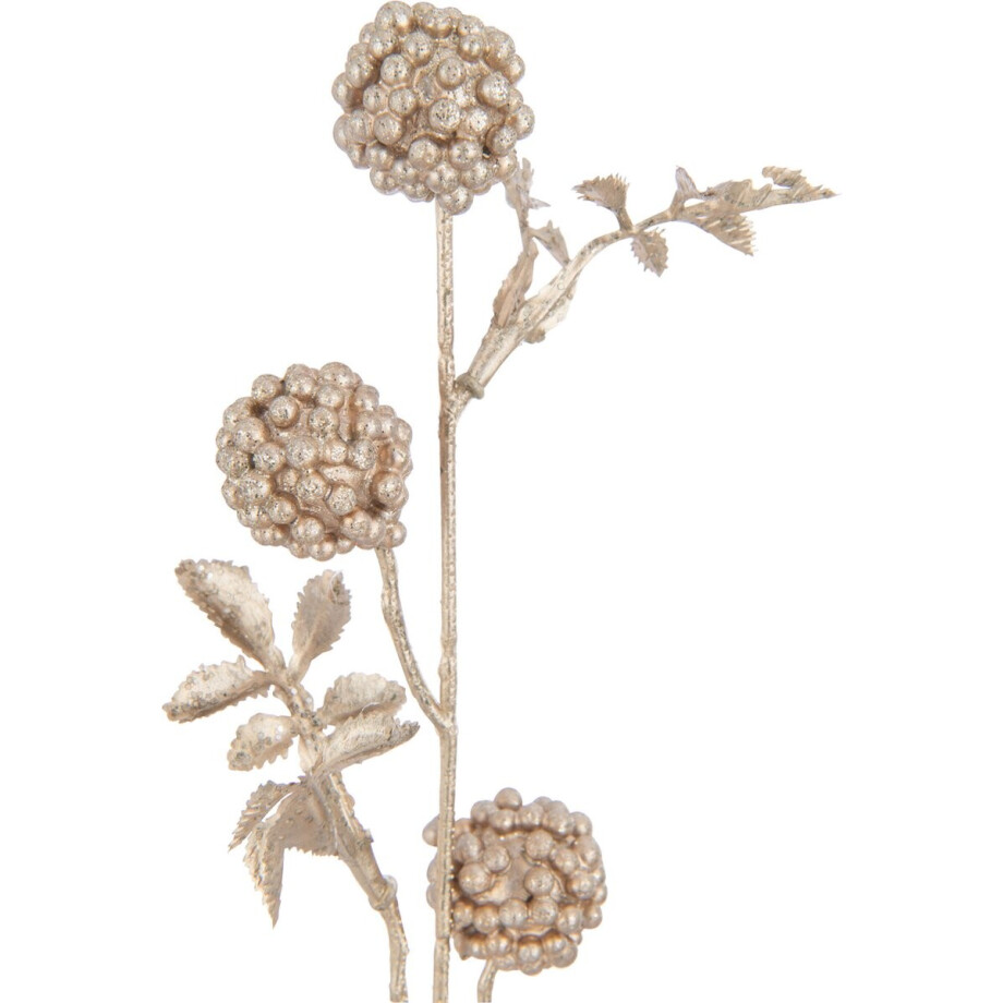 J-Line decoratie Tak Bramen - kunststof - champagne - 6 stuks J-Line decoratie Tak Bramen - kunststof - champagne - 6 stuks afbeelding 1