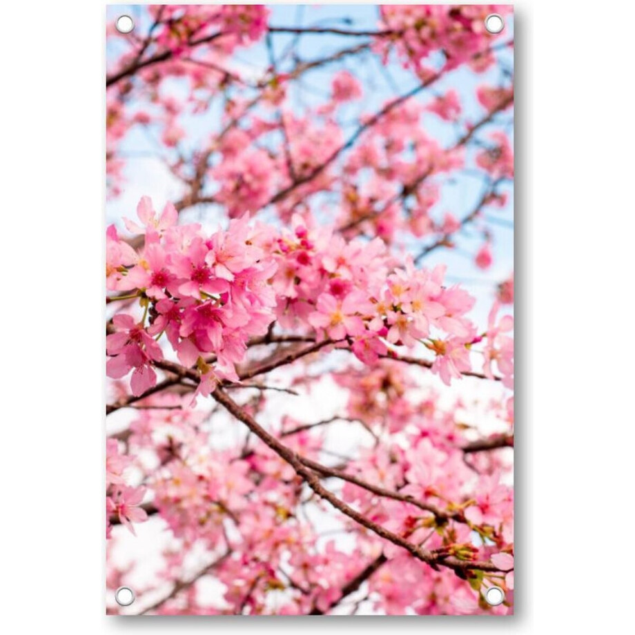 Roze Bloesem met een Blauwe Lucht - Tuinposter 80x120 - Wanddecoratie - Besteposter - Landschap - Natuur - Bloemen afbeelding 1