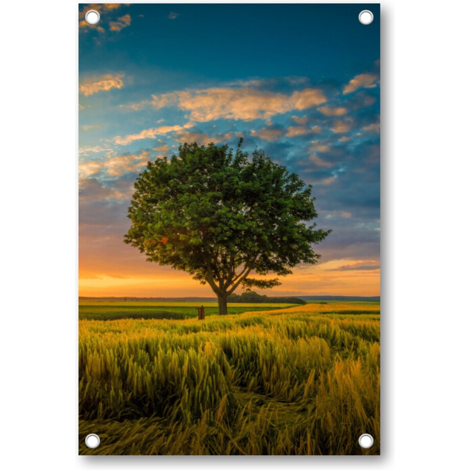 Boom onder een bewolkte hemel tijdens een zonsondergang - Tuinposter 60x90 - Wanddecoratie - Besteposter - Landschap - Natuur afbeelding 1