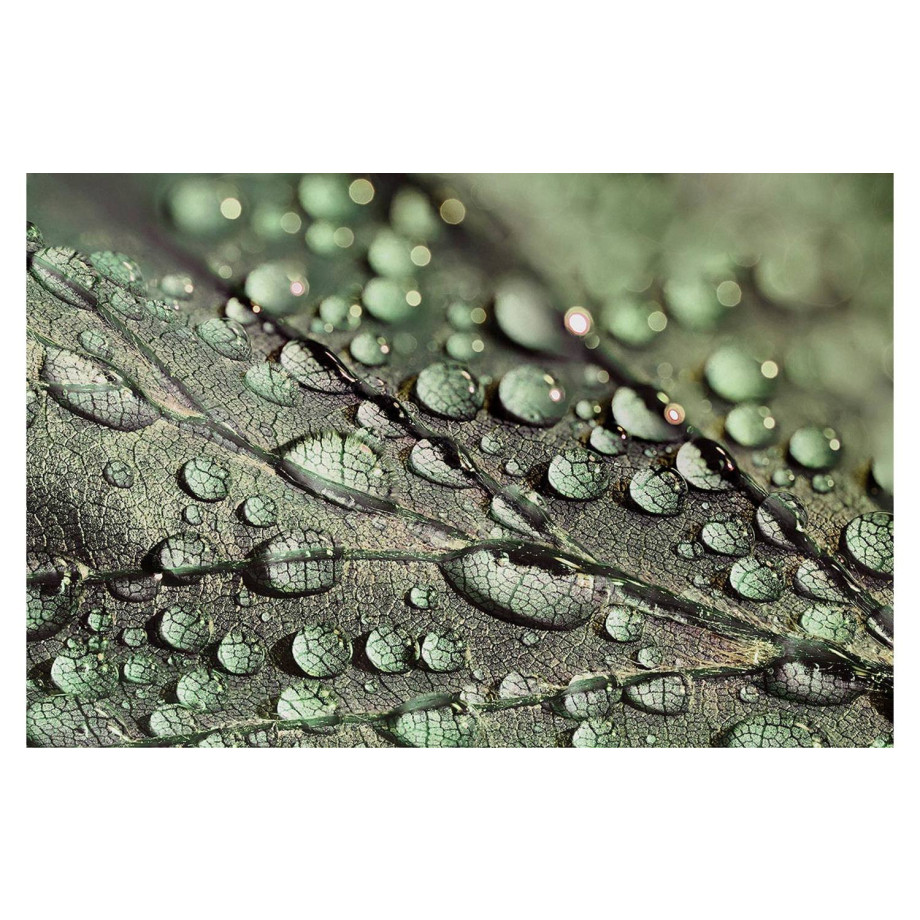 Goossens Schilderij Macro Leaf, 148 x 98 cm afbeelding 1