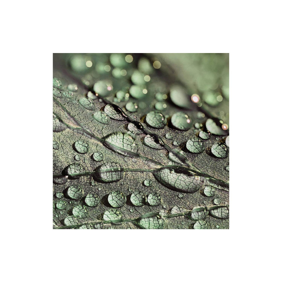 Goossens Schilderij Macro Leaf, 74 x 74 cm afbeelding 1