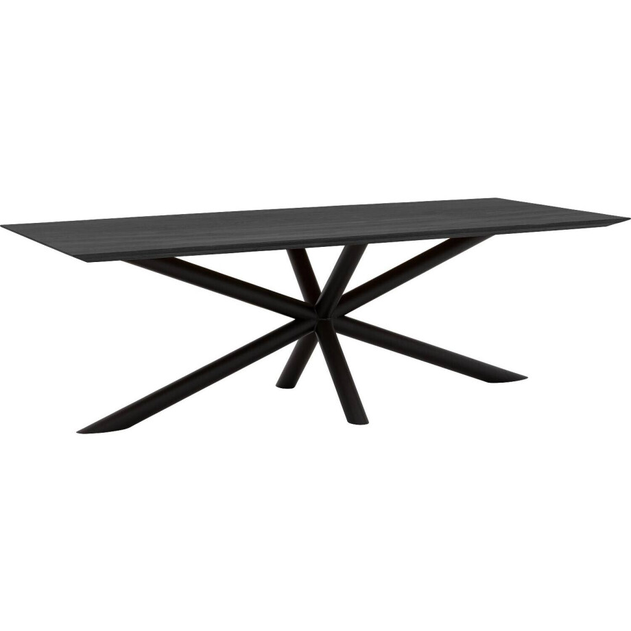 Goossens Excellent Eettafel Gs-1302, 240 x 100 cm rechthoekig afbeelding 1