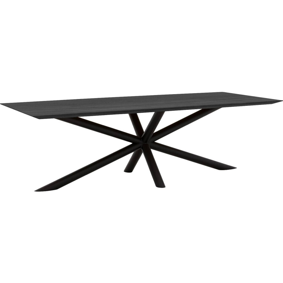 Goossens Excellent Eettafel Gs-1302, 260 x 110 cm rechthoekig afbeelding 1