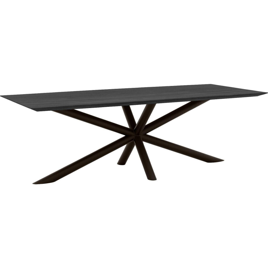 Goossens Excellent Eettafel Gs-1302, 240 x 100 cm rechthoekig afbeelding 1