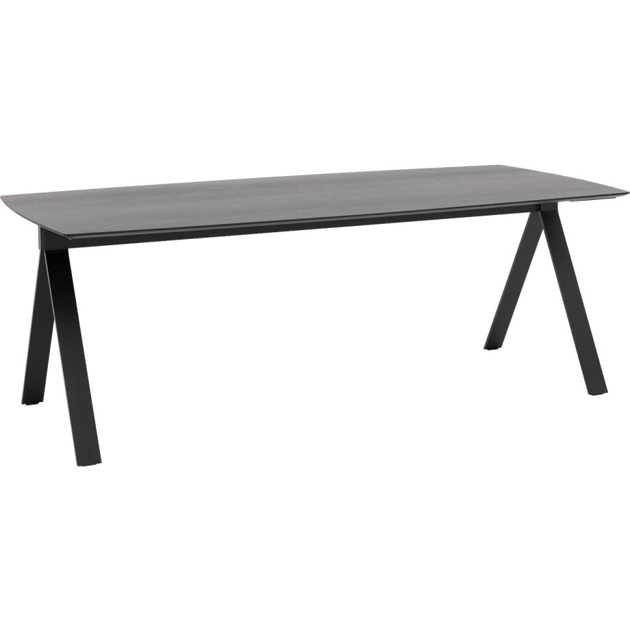 Goossens Excellent Eettafel Floyd, Semi rechthoekig 300 x 100 cm Goossens Excellent Eettafel Floyd, Semi rechthoekig 300 x 100 cm afbeelding 1