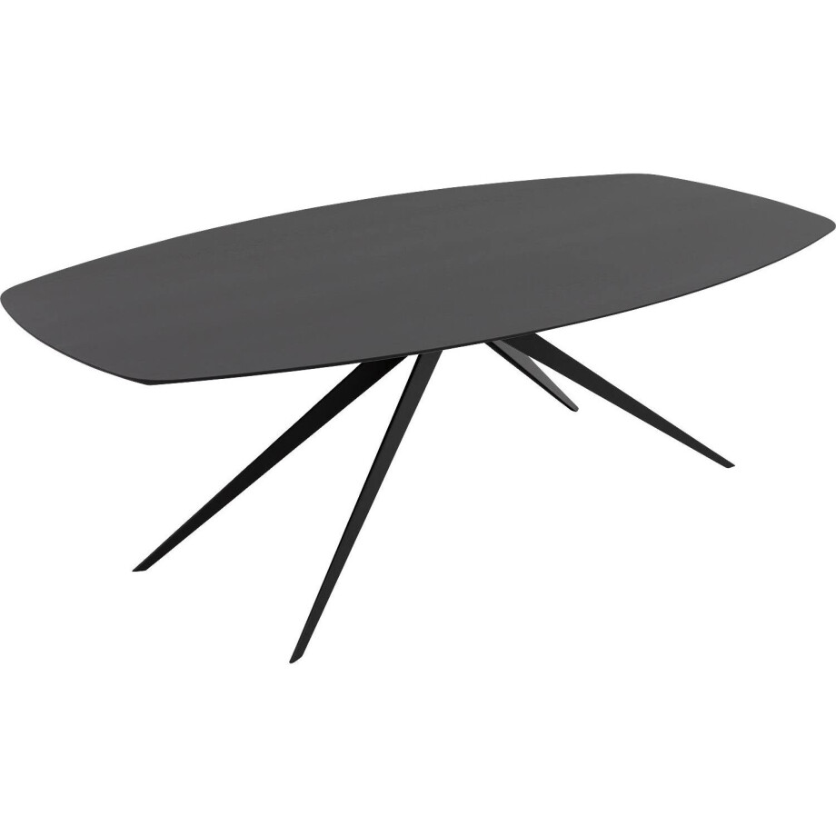 Goossens Excellent Eettafel Uniek, Semi ovaal 240 x 120 cm Goossens Excellent Eettafel Uniek, Semi ovaal 240 x 120 cm afbeelding 1