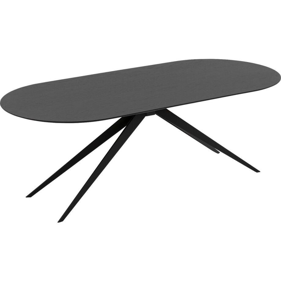 Goossens Excellent Eettafel Uniek, Semi rond 260 x 100 cm afbeelding 1