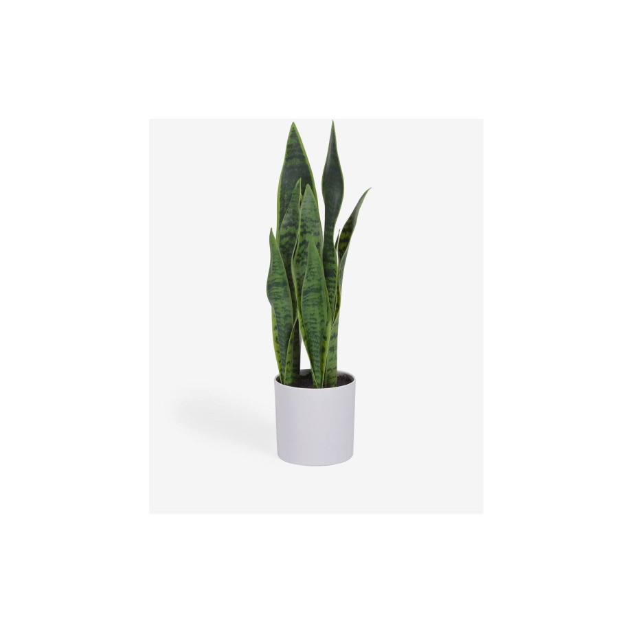 Kave Home Kave Home Kunstplant Sansevieria, 55 cm afbeelding 1