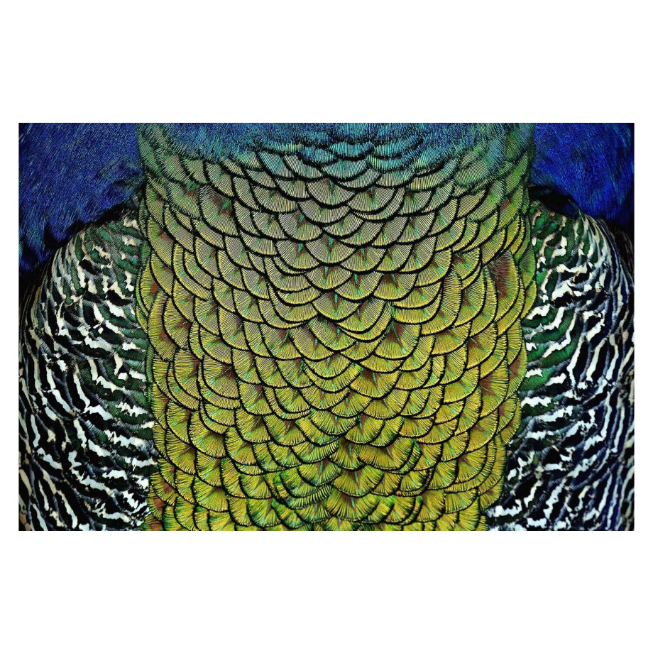 Goossens Schilderij Wonderful Life, 148 x 98 cm Goossens Schilderij Wonderful Life, 148 x 98 cm afbeelding 1