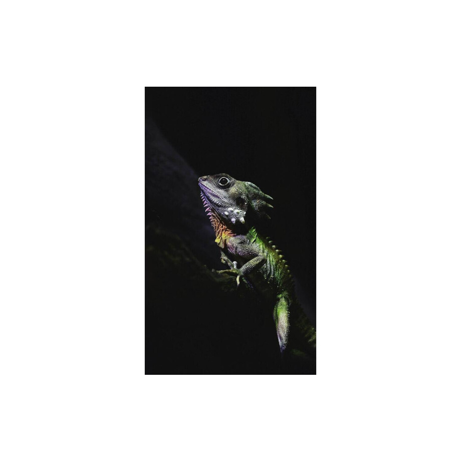 Goossens Schilderij The Colours, 70 x 118 cm Goossens Schilderij The Colours, 70 x 118 cm afbeelding 1