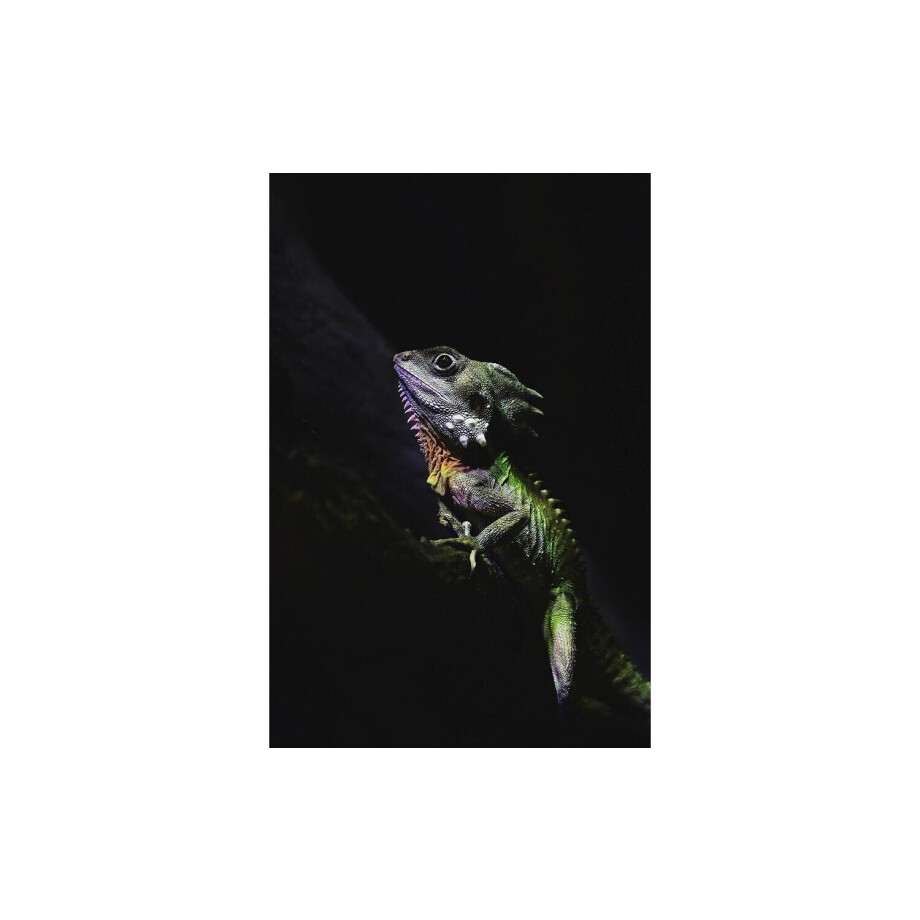 Goossens Schilderij The Colours, 98 x 148 cm Goossens Schilderij The Colours, 98 x 148 cm afbeelding 1