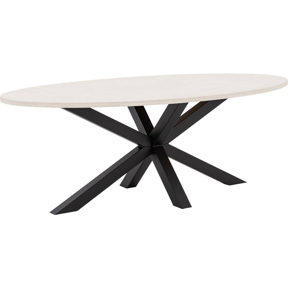 Goossens Eettafel Stone, Ovaal 220 x 120 cm afbeelding 1