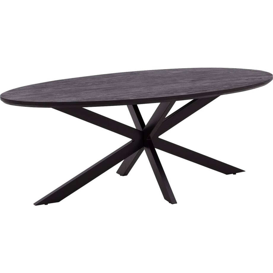 Goossens Eettafel Nilo, Ovaal 210 x 100 cm afbeelding 1