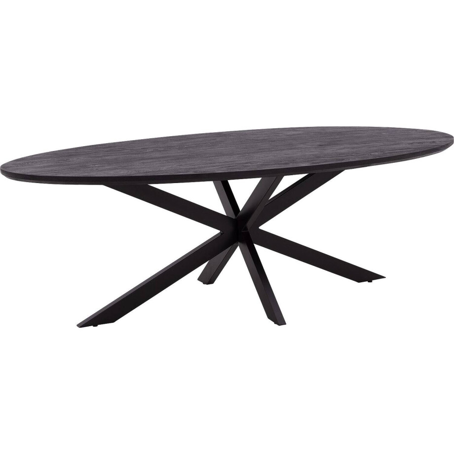 Goossens Eettafel Nilo, Ovaal 240 x 110 cm afbeelding 1