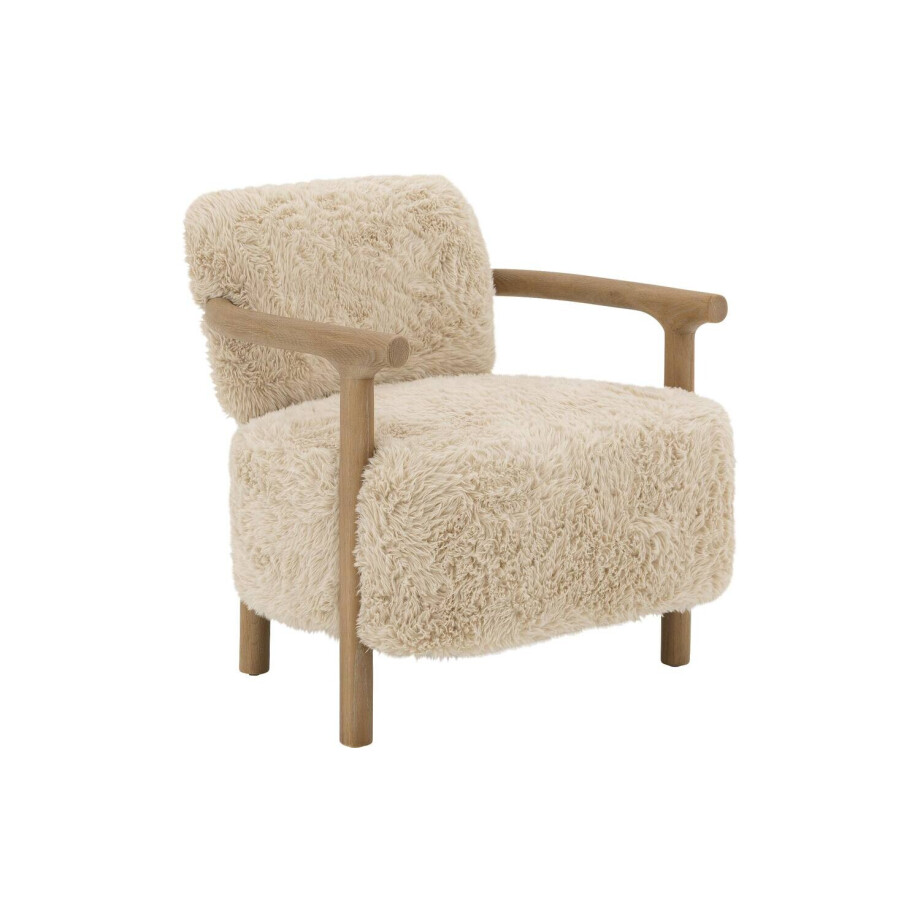 Goossens Fauteuil Bloss, Fauteuil afbeelding 1