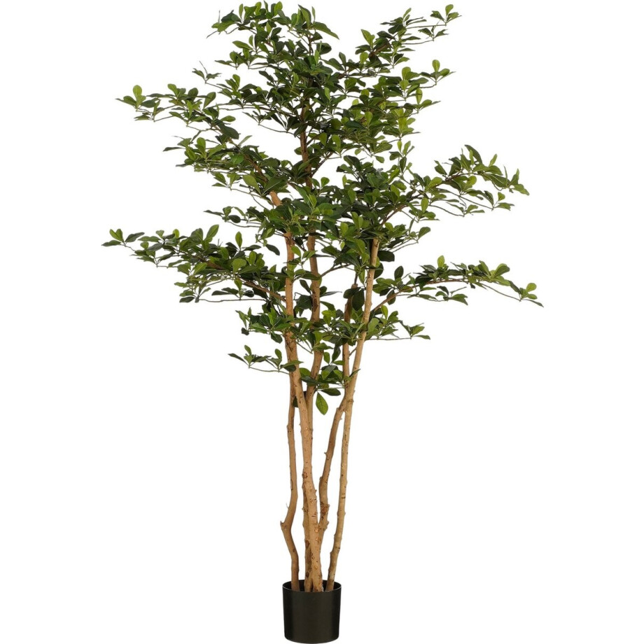 Mica Decorations Kunstplant Olijfboom in Pot - H183 x Ø130 cm - Groen Mica Decorations Kunstplant Olijfboom in Pot - H183 x Ø130 cm - Groen afbeelding 1