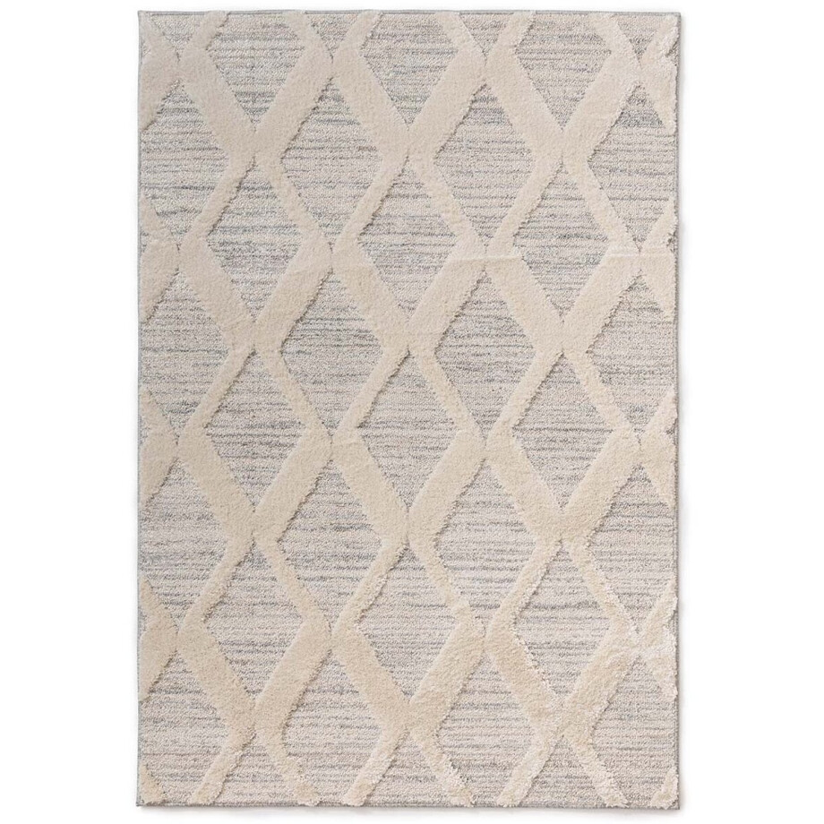 Scandinavisch vloerkleed - Fjord Dvale grijs/crème 240x340 Scandinavisch vloerkleed - Fjord Dvale grijs/crème 240x340 afbeelding 1