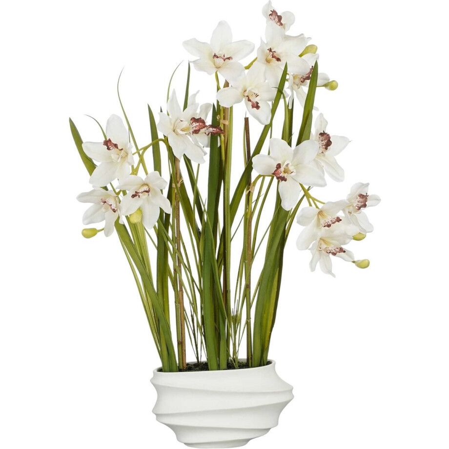 Mica Decorations Kunstplant Cymbidium - 49x40x81 cm - Polyester - Creme afbeelding 1