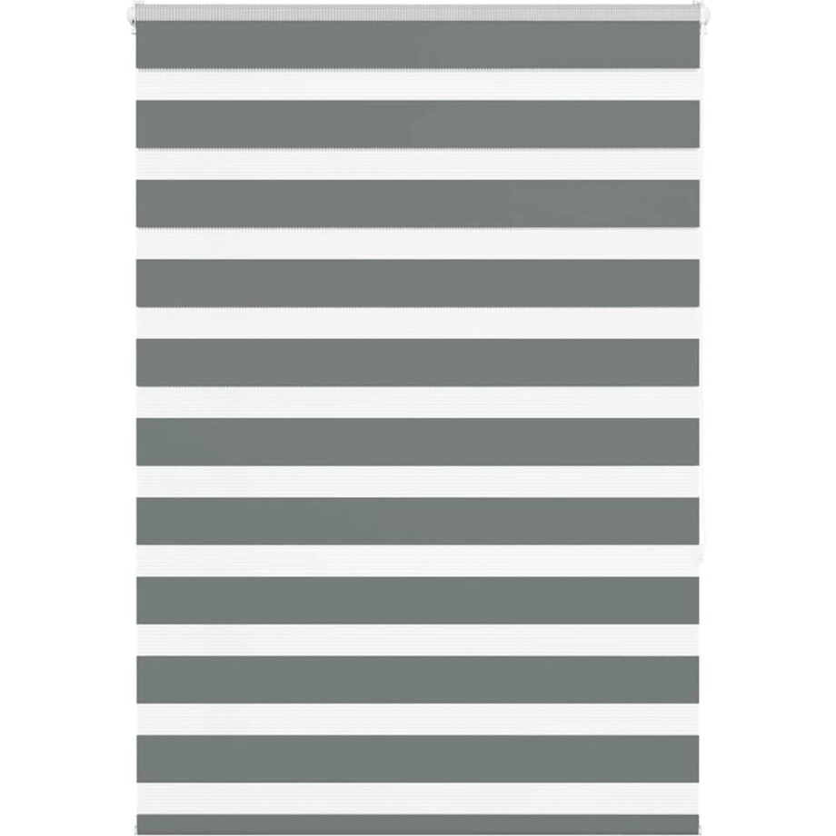 vidaXL - Zebra - rolgordijn - 95x150 - cm - stofbreedte - 90,9 - cm - donkergrijs vidaXL - Zebra - rolgordijn - 95x150 - cm - stofbreedte - 90,9 - cm - donkergrijs afbeelding 1