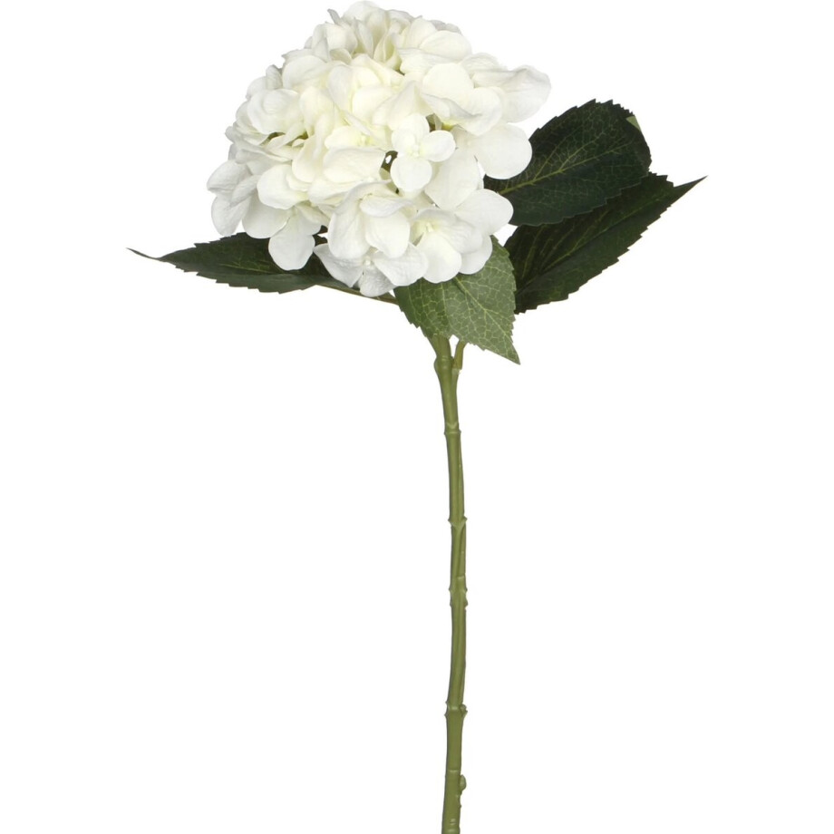 Mica Decorations Kunstbloem - Hortensia tak - wit - 51 cm - losse steel - Kunst zijdebloemen Mica Decorations Kunstbloem - Hortensia tak - wit - 51 cm - losse steel - Kunst zijdebloemen afbeelding 1