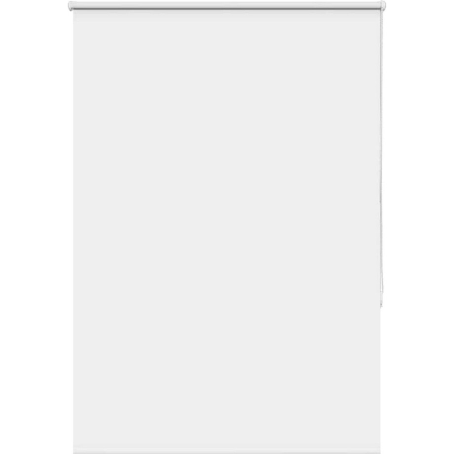 vidaXL - Rolgordijn - verduisterend - wit - 105x175 - cm - stofbreedte - 100,7 - cm afbeelding 1