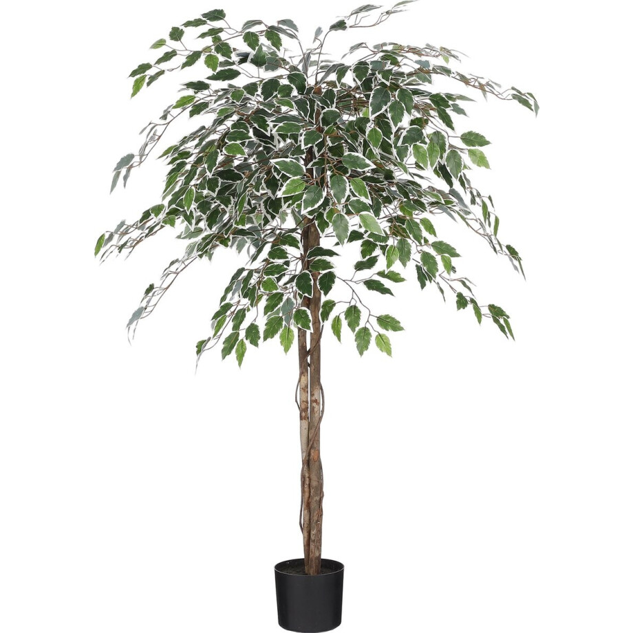 Mica Decorations Ficus Kunstplant in Bloempot - H150 x Ø50 cm - Groen bont afbeelding 1