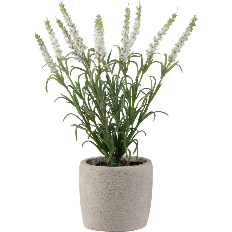 J-Line Lavendel In Pot Plastiek Wit afbeelding 1