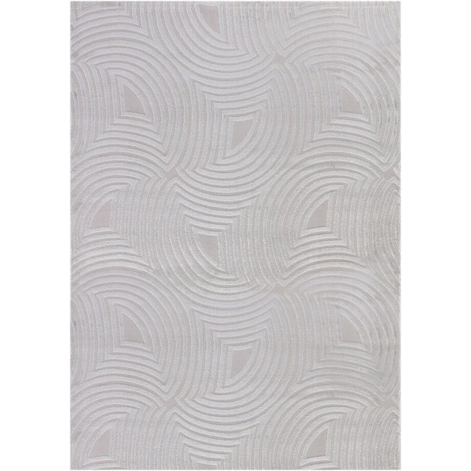 Flycarpets Cara Modern Japandi Duna Vloerkleed - Zilver - 80x250 cm Flycarpets Cara Modern Japandi Duna Vloerkleed - Zilver - 80x250 cm afbeelding 1