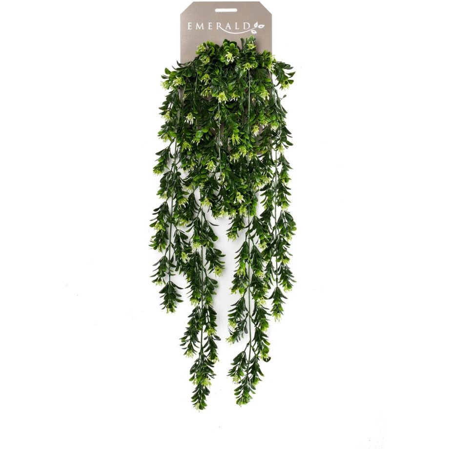 Emerald - Kunst Hangplant Buxus Berry 75cm - Kunstplant voor binnen afbeelding 1
