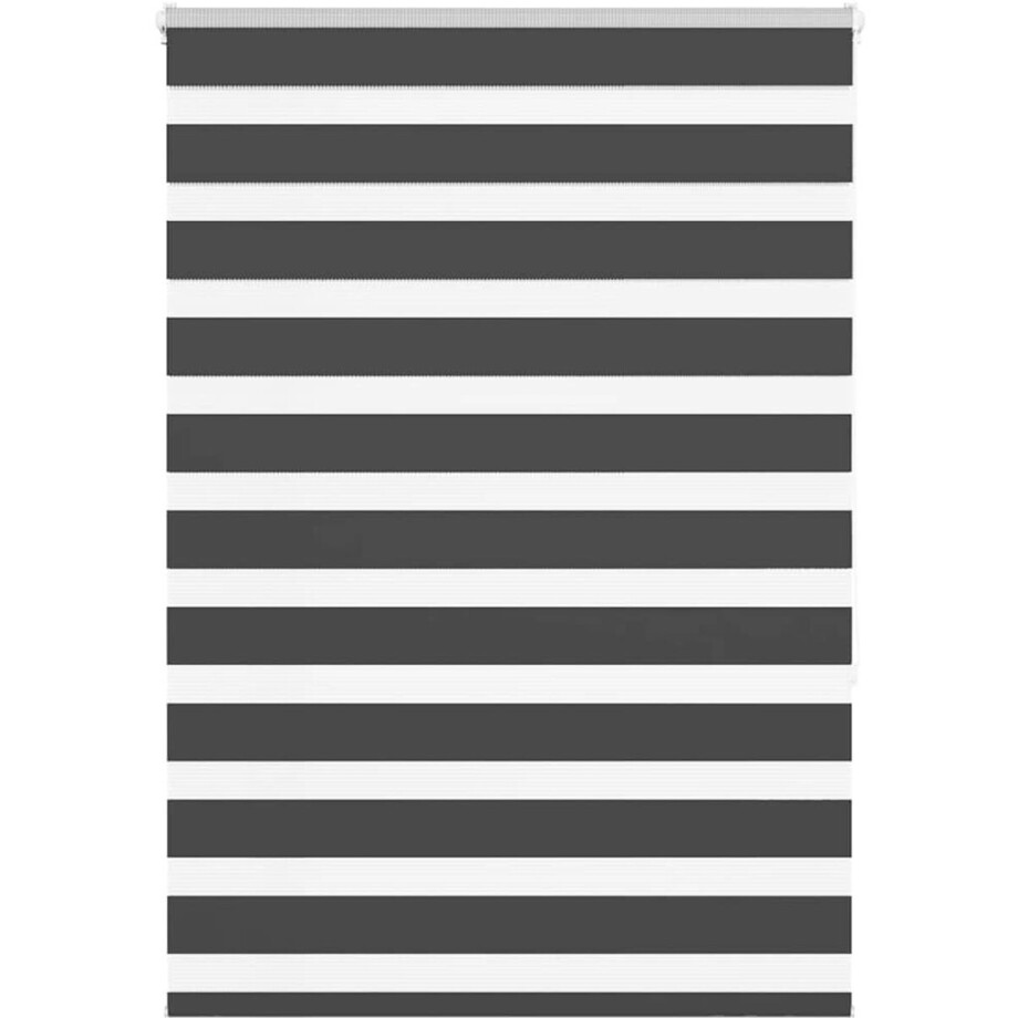 vidaXL - Zebra - rolgordijn - 95x150 - cm - stofbreedte - 90,9 - cm - zwart afbeelding 1