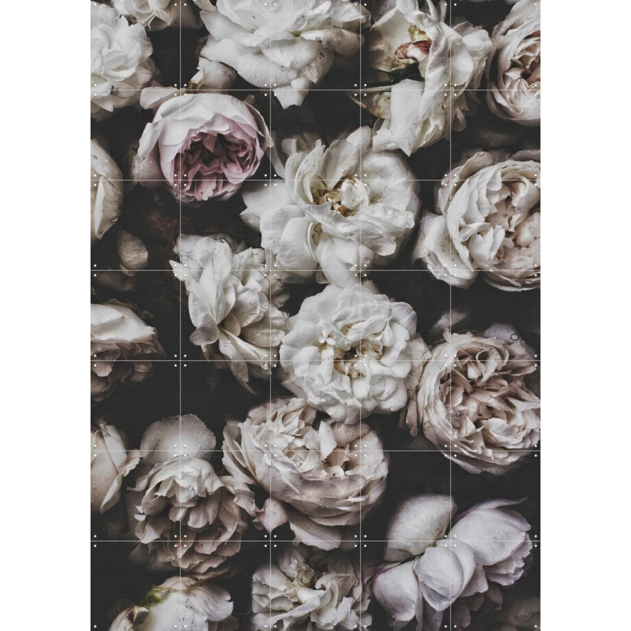 IXXI Peony Roses, STUDIO HANNAH LEMHOLT - 100 x 140 cm - Gratis ophangtool - Grote wanddecoratie en posters - Fotografie, Woonkamer, Slaapkamer afbeelding 1