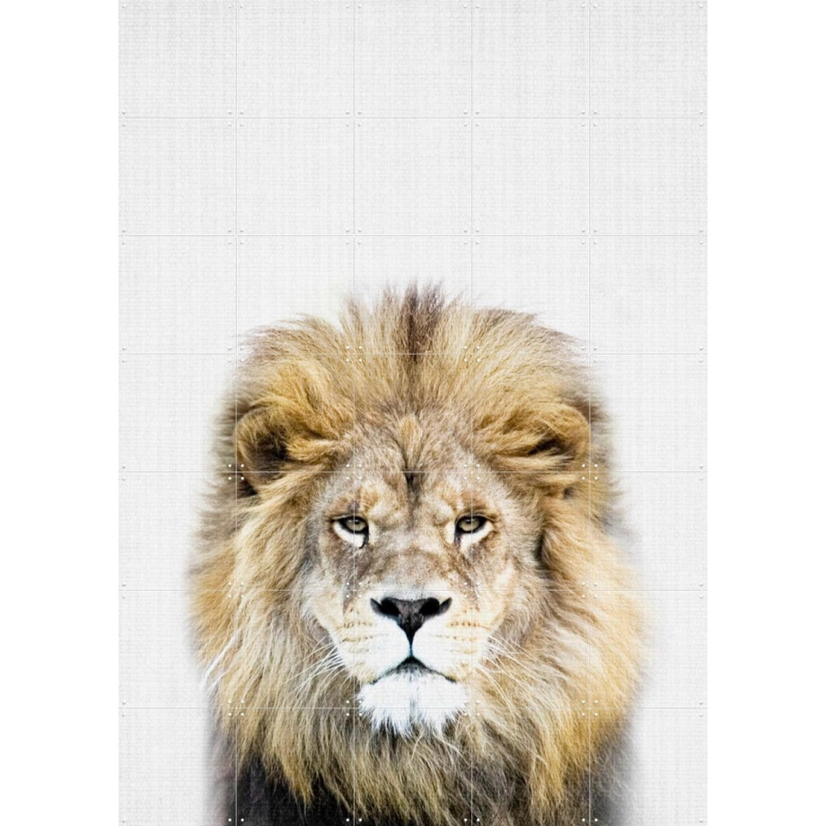 IXXI Print 326 Lion, Lila + Lola - 100 x 140 cm - Grote wanddecoratie en posters - Realisme, Fotografie, Babykamer, Kinderkamer, Woonkamer, Baby afbeelding 1
